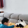 IMG_20210409_122448