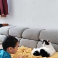 IMG_20210409_122449