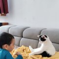 IMG_20210409_122453