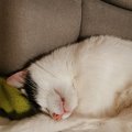 IMG_20210415_214128