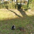 IMG_20210424_172028
