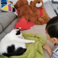 IMG_20210425_150957_1