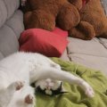 IMG_20210426_204842