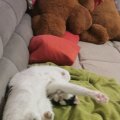 IMG_20210426_204844