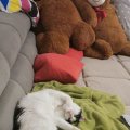 IMG_20210426_204845
