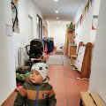 IMG_20210427_102710
