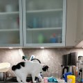 IMG_20210428_122024
