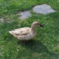 IMG_20210428_160111