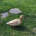 IMG_20210428_160114