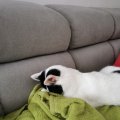 IMG_20210502_130604