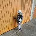 IMG_20210506_104046