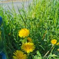 IMG_20210509_100956