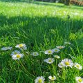 IMG_20210510_170927