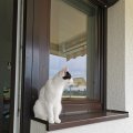 IMG_20210511_124532