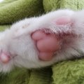 IMG_20210522_142838