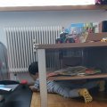 IMG_20210523_110700
