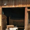 IMG_20210604_104932
