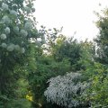 IMG_20210604_200117