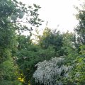 IMG_20210604_200119