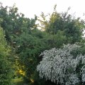 IMG_20210604_200128