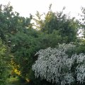 IMG_20210604_200129_1
