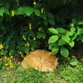 IMG_20210605_114052