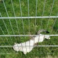 IMG_20210605_114223