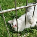 IMG_20210605_114231