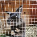 IMG_20210605_114304