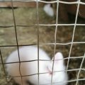IMG_20210605_114319