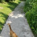 IMG_20210605_161420