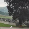 IMG_20210606_134912