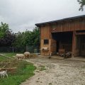 IMG_20210606_163330