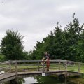 IMG_20210606_180229_1
