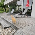 IMG_20210606_180249