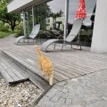 IMG_20210606_180249_1