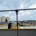 IMG_20210621_205615
