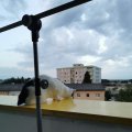 IMG_20210621_205620