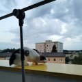 IMG_20210621_205622