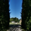 IMG_20210710_094604