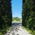 IMG_20210710_094614
