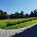 IMG_20210710_095218
