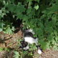 IMG_20210712_173915