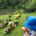 IMG_20210712_174741