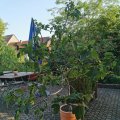 IMG_20210722_182406
