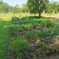IMG_20210723_110508