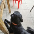 IMG_20210724_123321