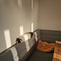 IMG_20210729_192040