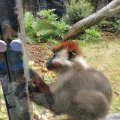 IMG_20210801_103322