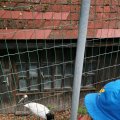 IMG_20210801_104406